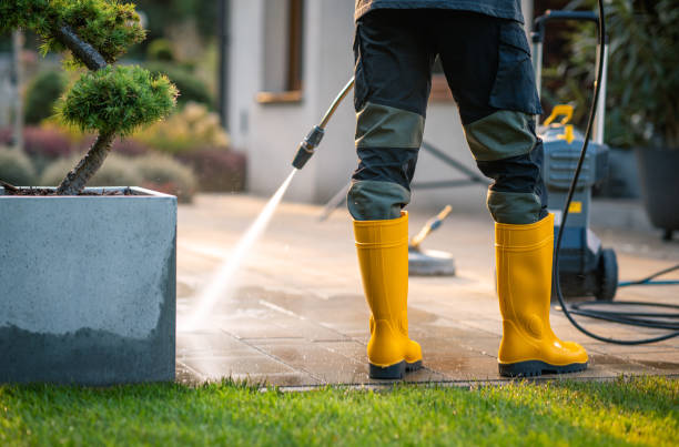 Best Pressure Washing Contractors  in Glyndon, MN